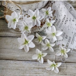 Гортензии Дуболистные, белые, Pastel Flowers
