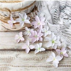 Гортензии Дуболистные, бело-розовые, Pastel Flowers