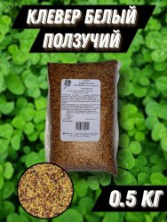 Семена Клевера белого