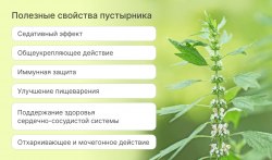 Пустырник (трава)