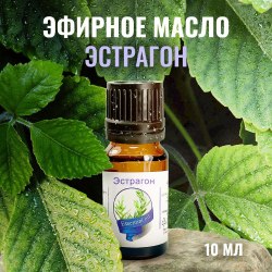 Полынь эстрагонная (Тархун)