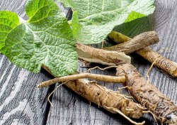 Лопух корень