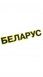 ФН-3900001-01 Наклейка BELARUS