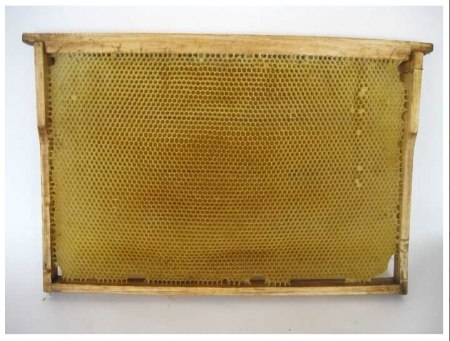 Сушь на ульевой рамке (435*300 мм)