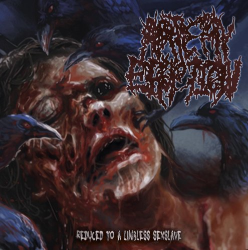 ARTERY ERUPTION - Reduced To A Limbless Sexslave CD Brutal Death Metal