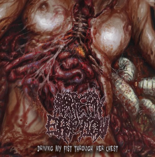 ARTERY ERUPTION -Driving My Fist Through Her Chest CD Brutal Death Metal