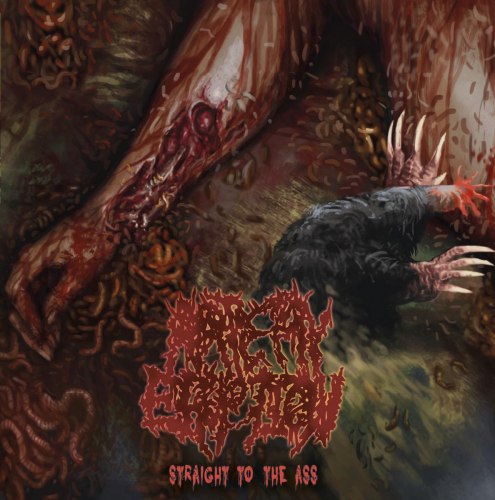 ARTERY ERUPTION - Straight To The Ass CD Brutal Death Metal