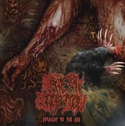 ARTERY ERUPTION - Straight To The Ass CD Brutal Death Metal