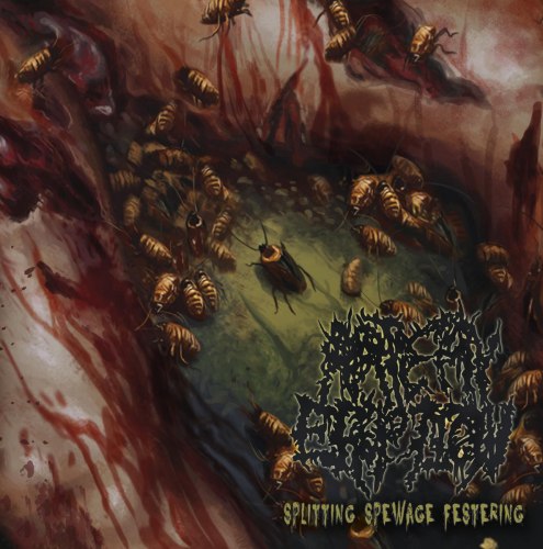 ARTERY ERUPTION - Splitting Spewage Festering CD Brutal Death Metal