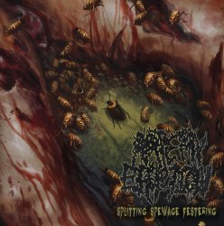 ARTERY ERUPTION - Splitting Spewage Festering CD Brutal Death Metal
