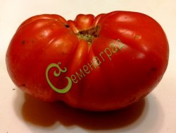 Семена томатов Супер Марманде - 20 семян, 20 упаковок Семенаград оптовый