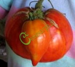 Семена томатов Большое сердце - 20 семян, 15 упаковок Семенаград оптовый