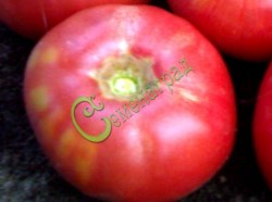 Семена томатов Любительский розовый - 20 семян Семенаград