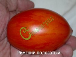 Семена томатов Римский полосатый - 20 семян Семенаград