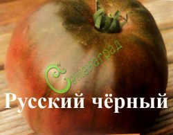 Семена томатов Русский черный, 20 семян Семенаград