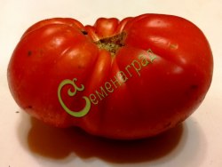 Семена томатов Супер Марманде - 20 семян Семенаград