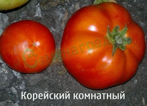 Семена томатов Корейский комнатный (20 семян) Семенаград