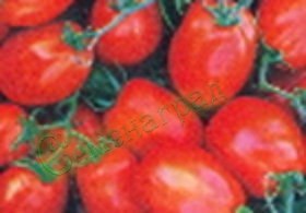 Семена томатов Космический (20 семян) Семенаград