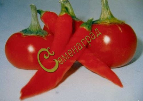 Семена почтой острый перец Черешневидный - 10 семян Семенаград