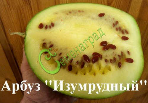 Семена арбуза ”Изумрудный” - 4 семени Семенаград