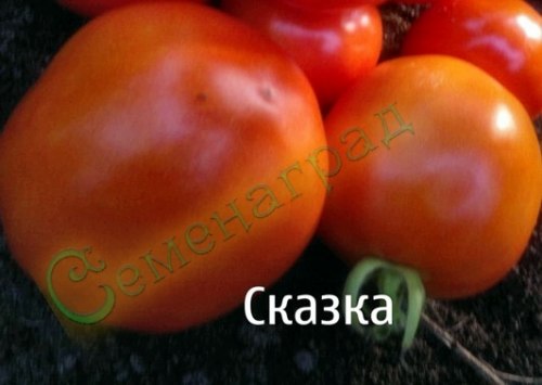 Семена томатов Сказка (20 семян) Семенаград
