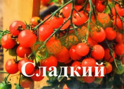 Семена почтой томат Сладкий (20 семян)