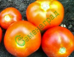 Семена томатов Веселка (20 семян)