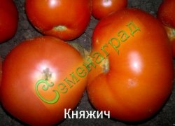 Семена томатов Княжич (20 семян) Семенаград