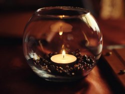 Натуральные свечи в гильзе с топленым маслом Гхи "Bodhi Light" (упаковка, 100 шт.) / арт. 279-168