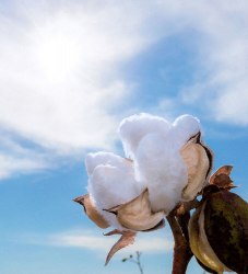 Комплект марлевый "Grey Cream Puff", 150*200 см. / арт. 279-16