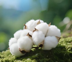 Накидка на подушку из многослойной марли (лист, 1 шт.) / арт. 283-74