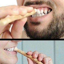 Палочка для чистки зубов Мисвак (зубная палочка, веточка, зубная щетка) / арт. 287-244