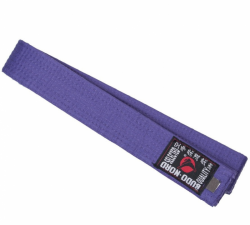 Пояс для кимоно Budo-Nord и единоборств purple фиолетовый длина 300 см