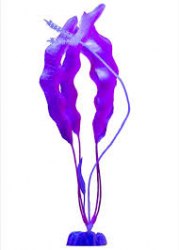 Растение GloFish XL розовое