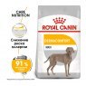 Сухой корм Royal Canin Maxi Dermacomfort 3кг, для собак крупных пород с чувствительной кожей