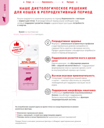 Сухой корм Royal Canin Queen - 4 кг, для беременных и кормящих кошек