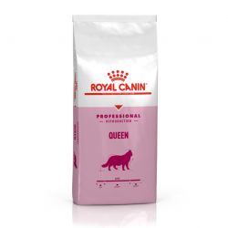 Сухой корм Royal Canin Queen - 4 кг, для беременных и кормящих кошек