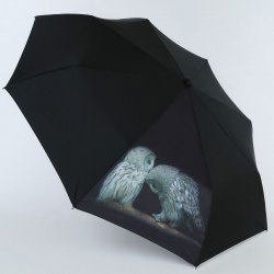 Зонт женский Nex 33941 -2