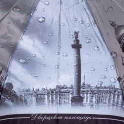Зонт женский Три Слона 3845-2