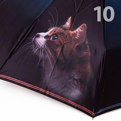 Зонт женский Три слона 3120-8