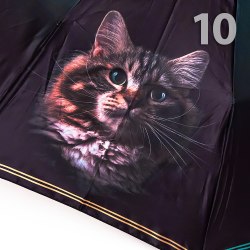 Зонт женский Три слона 3120-11