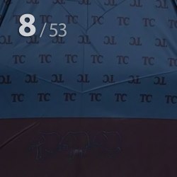 Зонт мужской Три слона 4808-5