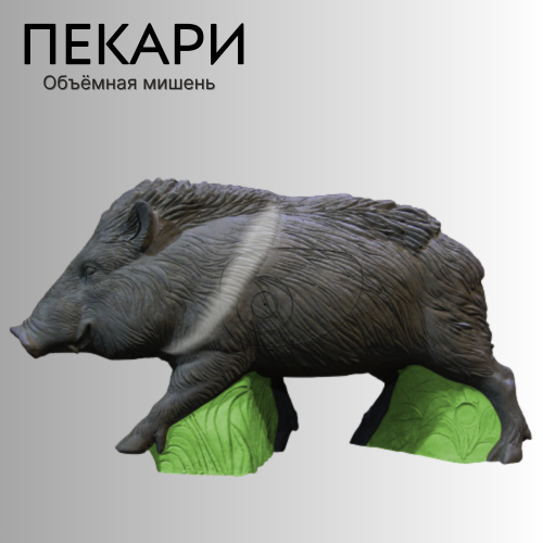 Объемная мишень Пекари
