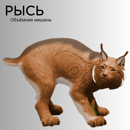 Объемная мишень Рысь
