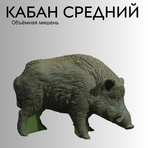 Объемная мишень Кабан средний