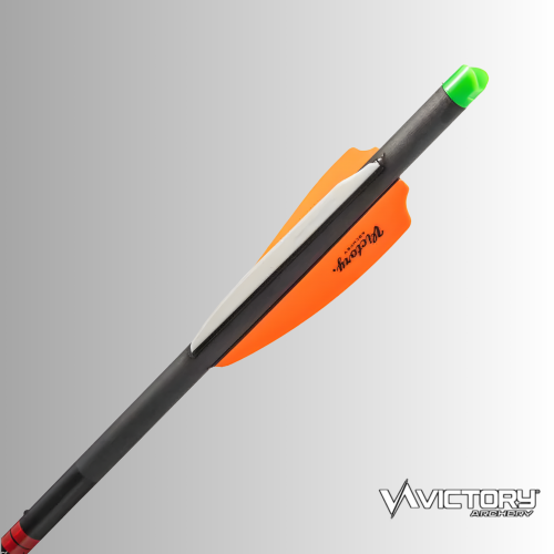 Арбалетные болты Victory Archery XBolt
