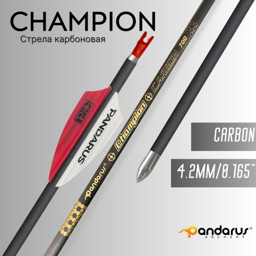 Стрела карбоновая Pandarus Champion