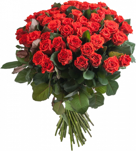 51 красная роза Эль Торо