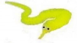 Игрушка Змейка пушистик, веселый червячок