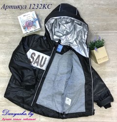 Деми куртка на мальчика модель - 1232KC